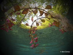 Easter!  Shot at Ginnie Springs, Florida over Easter week... by Ben Storey 